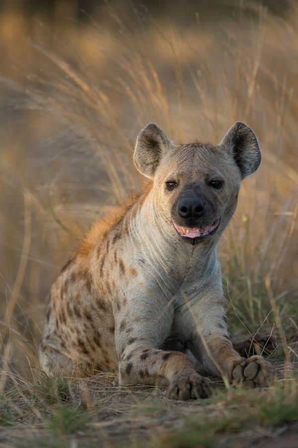 Southern Sands Eco Lodge Hoedspruit Luaran gambar