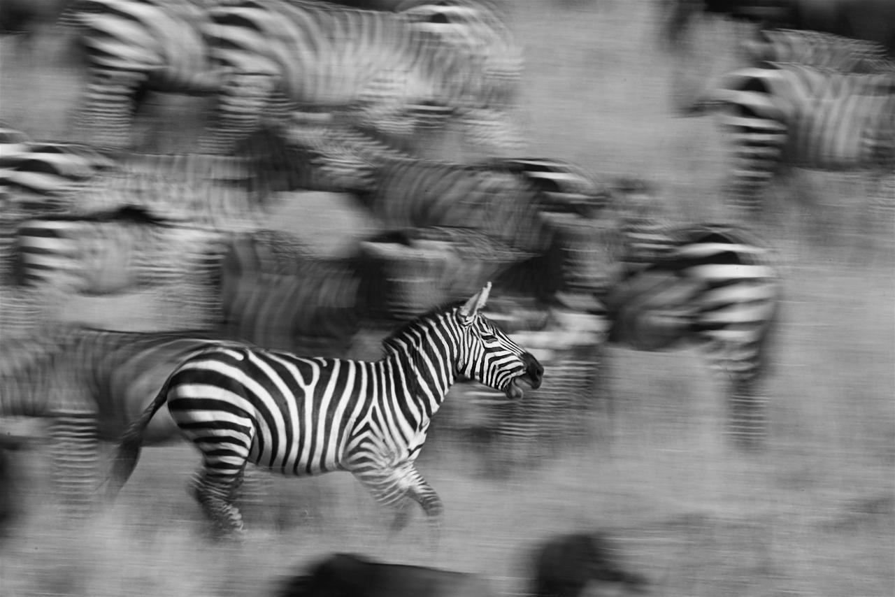 Southern Sands Eco Lodge Hoedspruit Luaran gambar